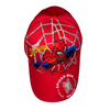 Spider-Man Hats